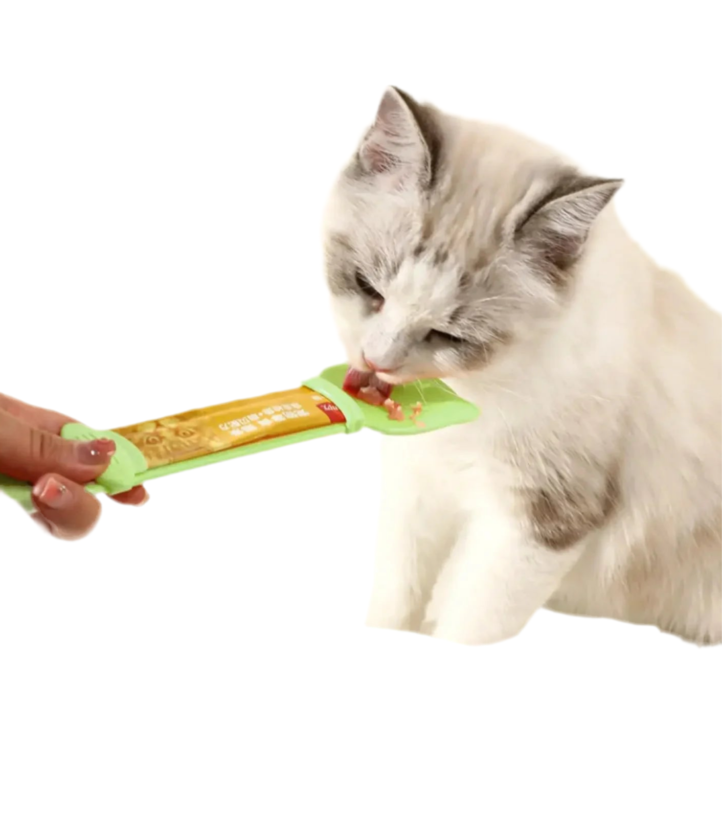 Strip Squeeze Spoon Feeder