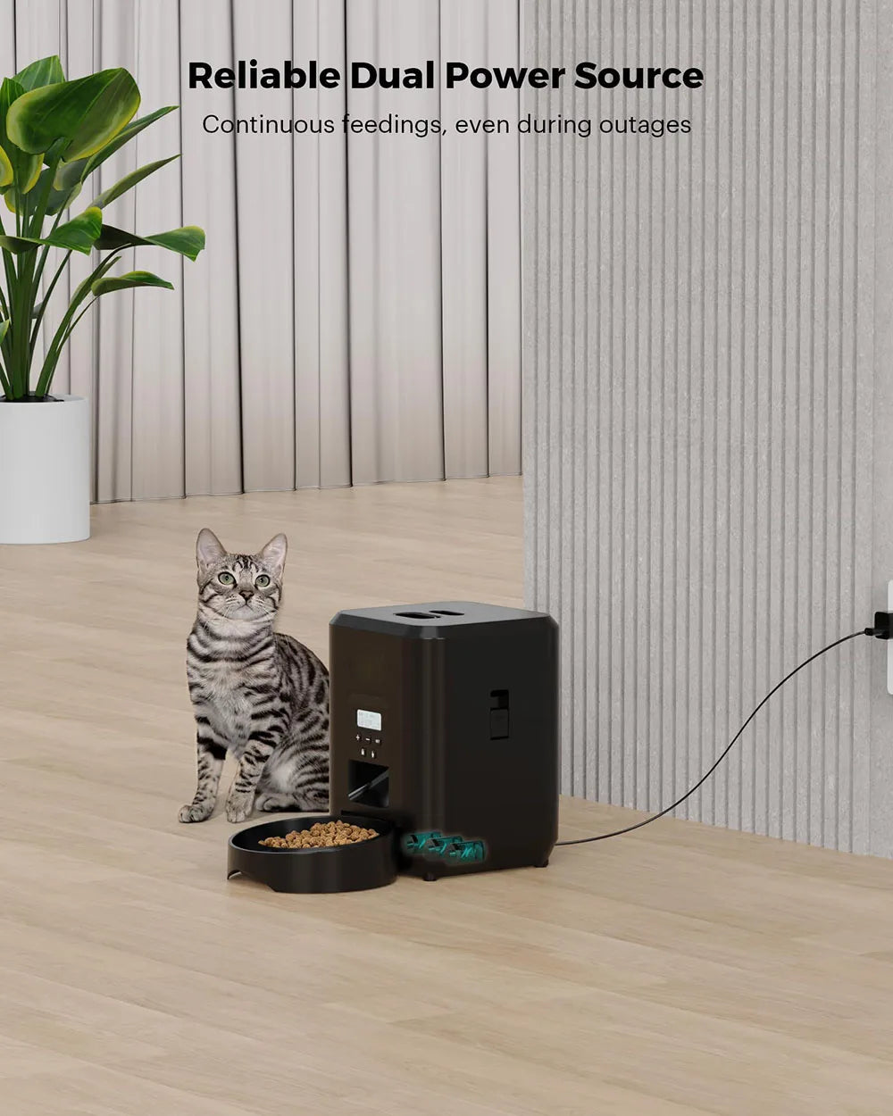ZYfeeder Smart Pet Feeder