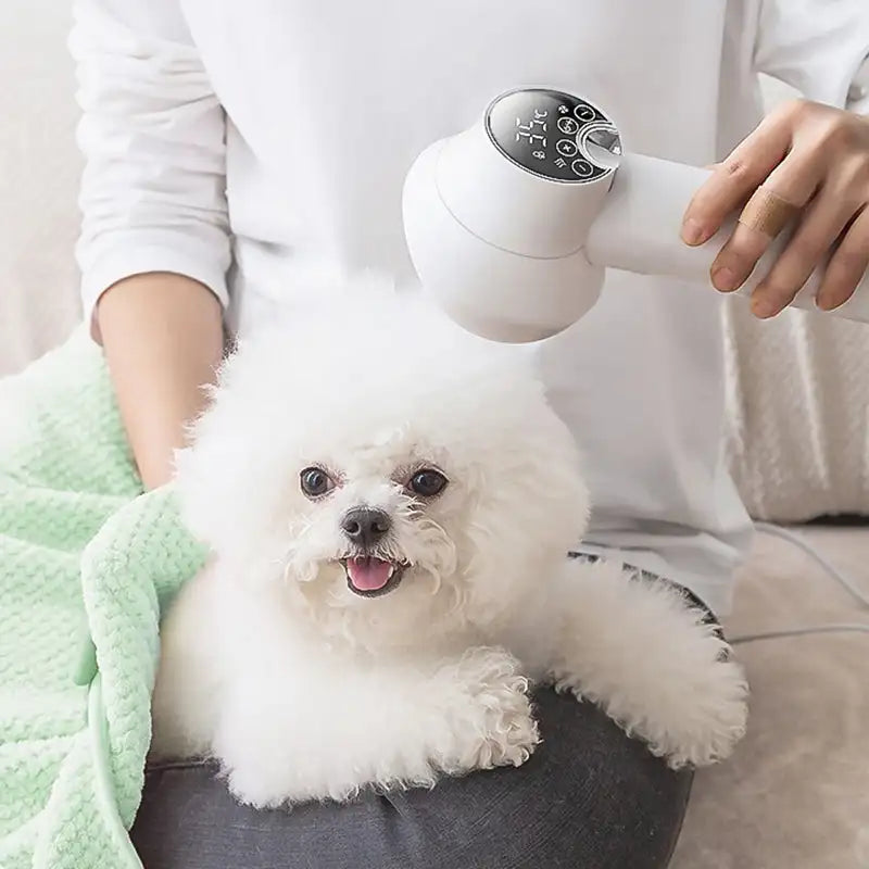 2-in-1 Low Noise Pet Hair Dryer with Comb Brush