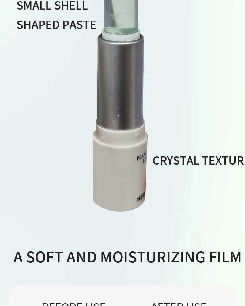 ZYXUAQIR Sea Shell Shaped Lip Balm