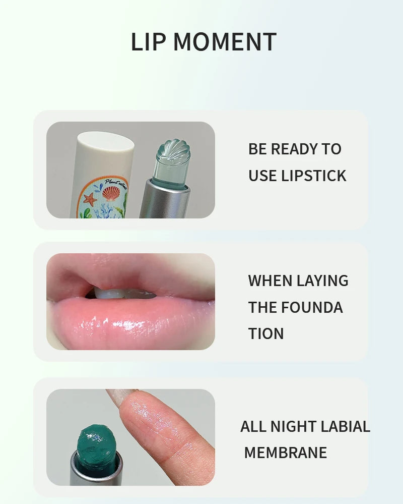 ZYXUAQIR Sea Shell Shaped Lip Balm