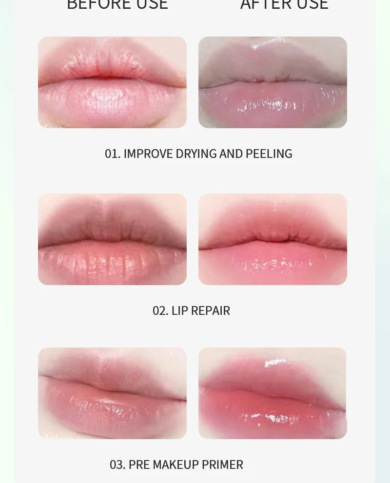 ZYXUAQIR Sea Shell Shaped Lip Balm